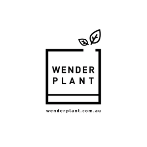 Logo for Wender Plant: a square frame with two leaves at the top-right and the text 'WENDER PLANT' inside; a small tagline appears below.